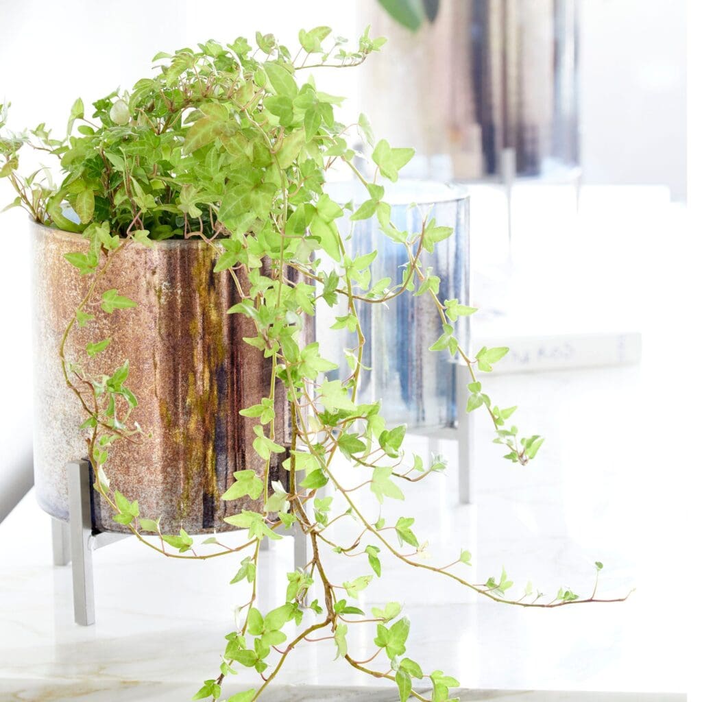 Cyan Design 09776 Decor Art Glass - Black