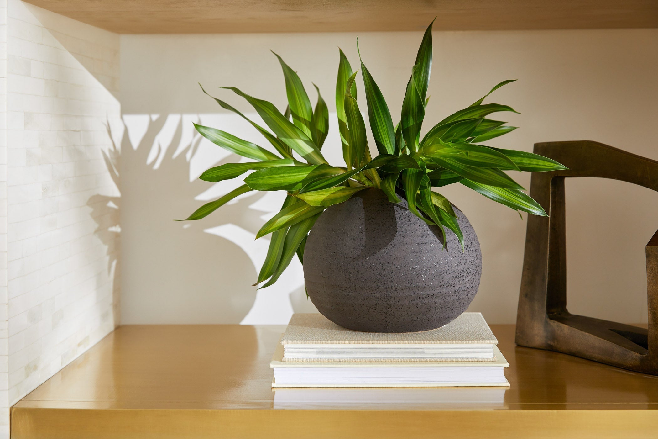 Cyan Design 12125 Decor - Black