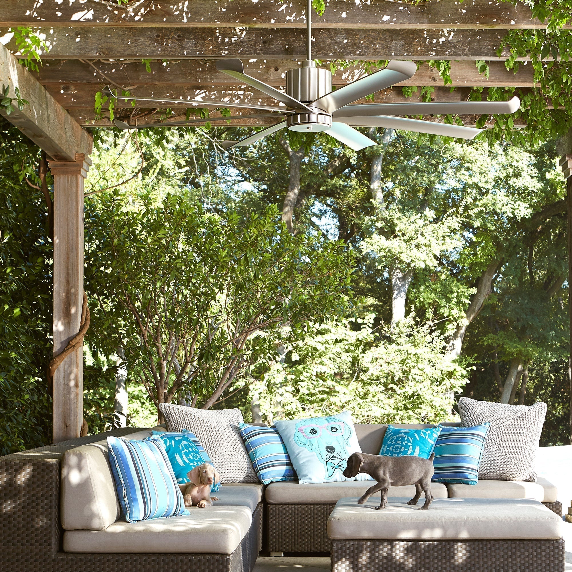 Quorum Proxima Patio 196608-65 Patio Fan - Satin Nickel