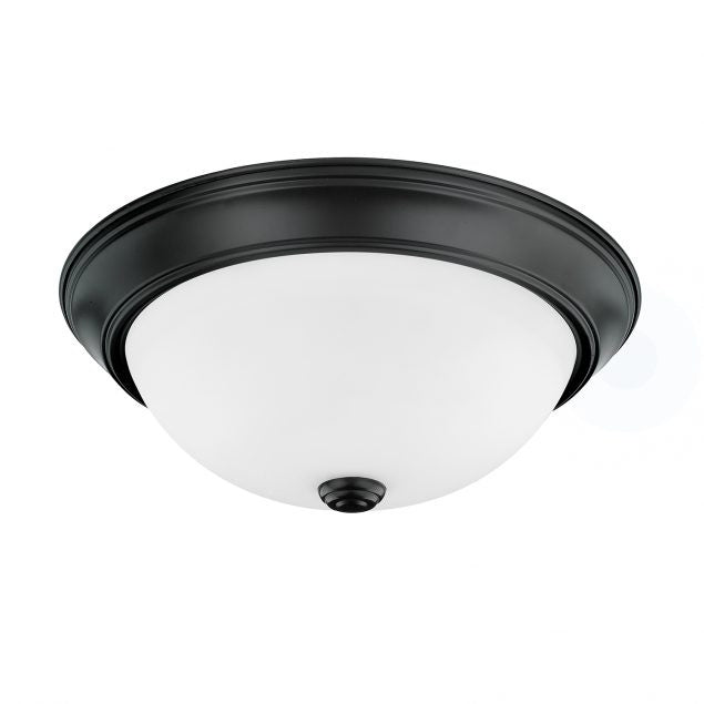 Capital Bates 214722MB Ceiling Light - Matte Black