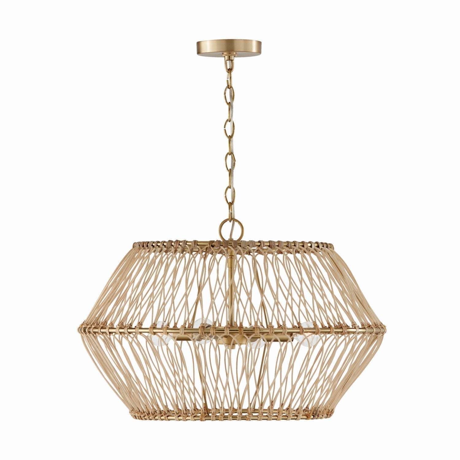 Capital Wren 344142MA Pendant Light - Matte Brass