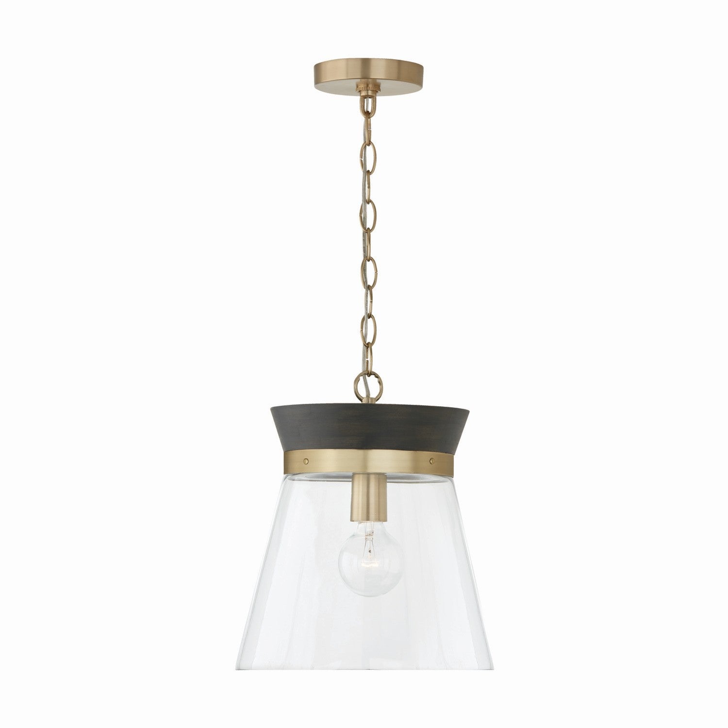 Capital Finn 347311KR Pendant Light - Black Stain, Matte Brass, Clear Glass