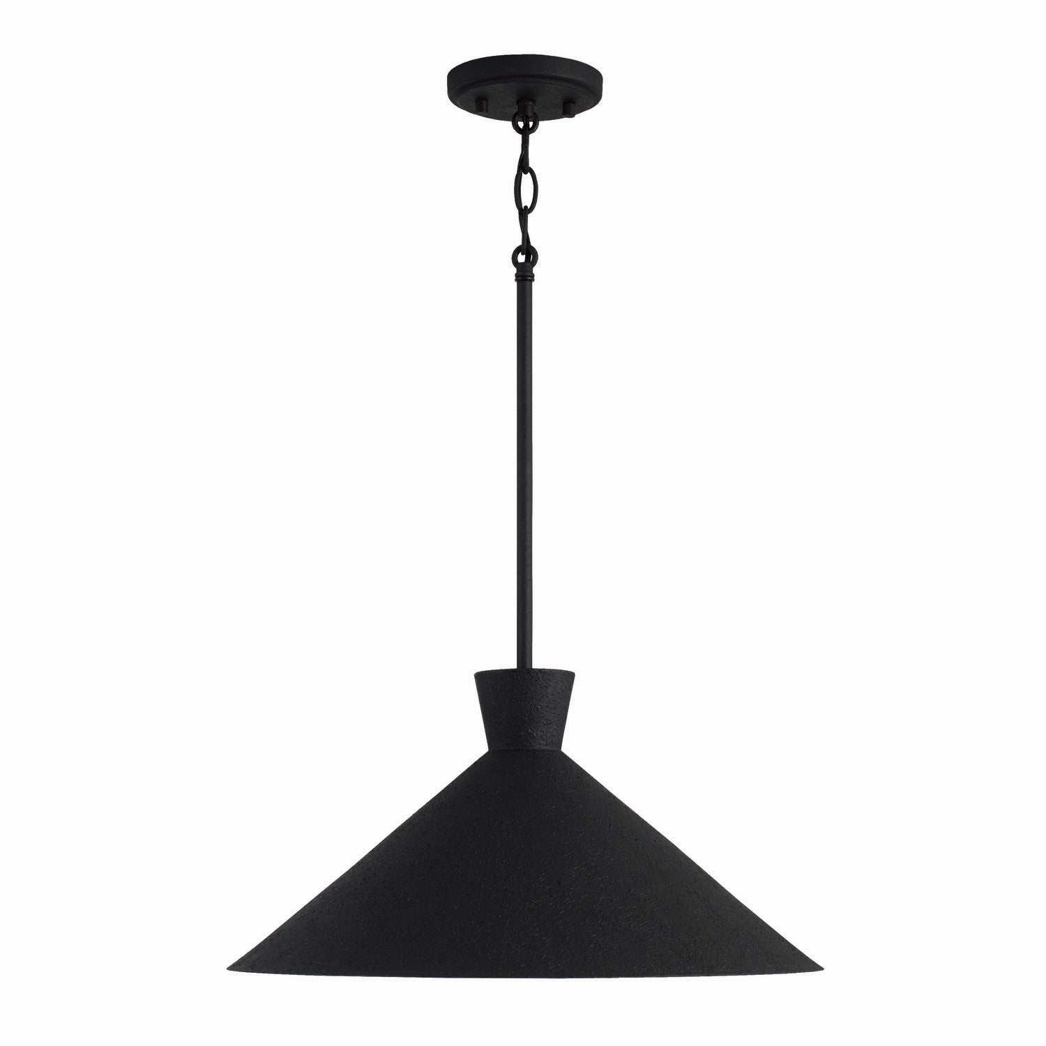 Capital Paloma 350312XK Pendant Light - Textured Black