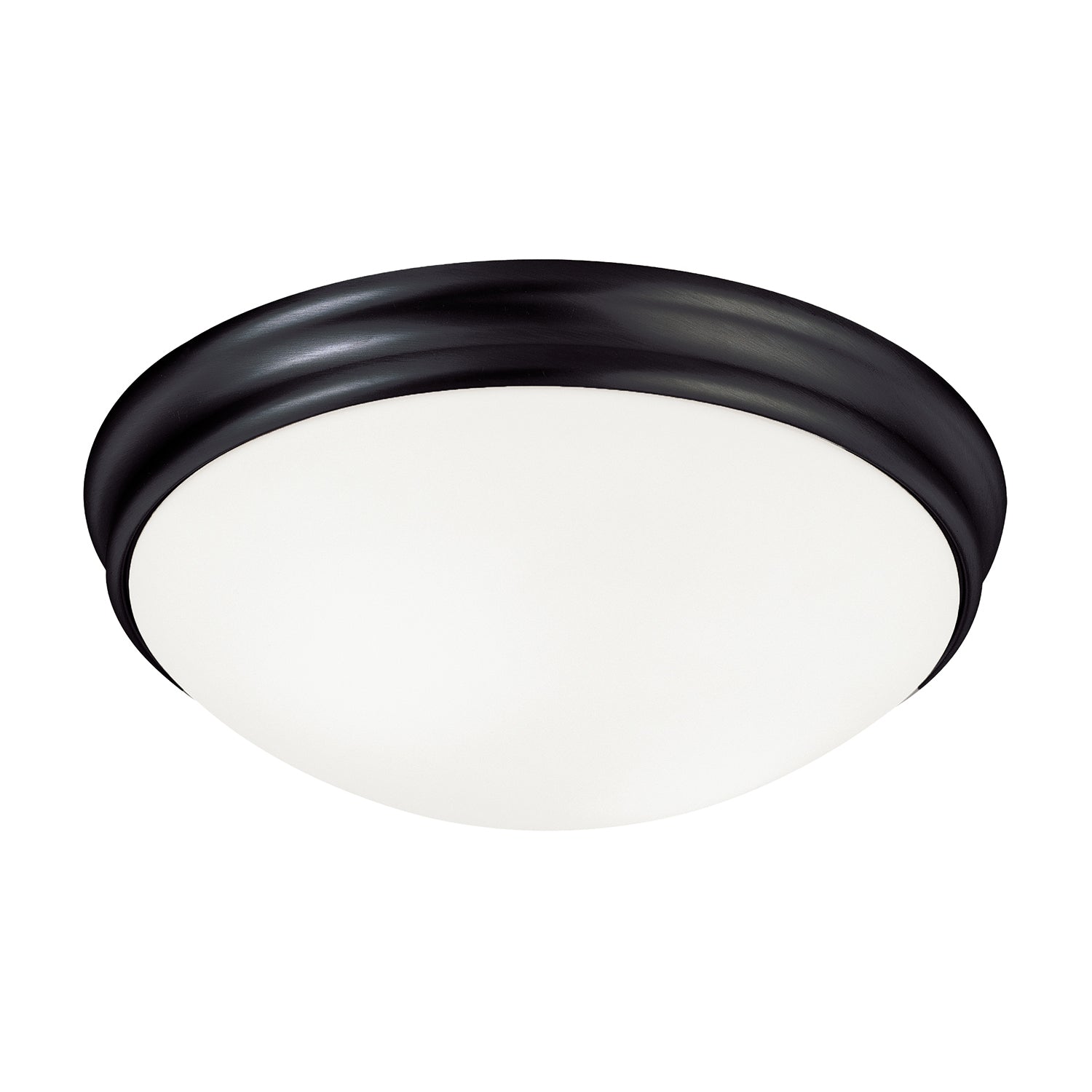 Capital Hansen 2032MB Ceiling Light - Matte Black