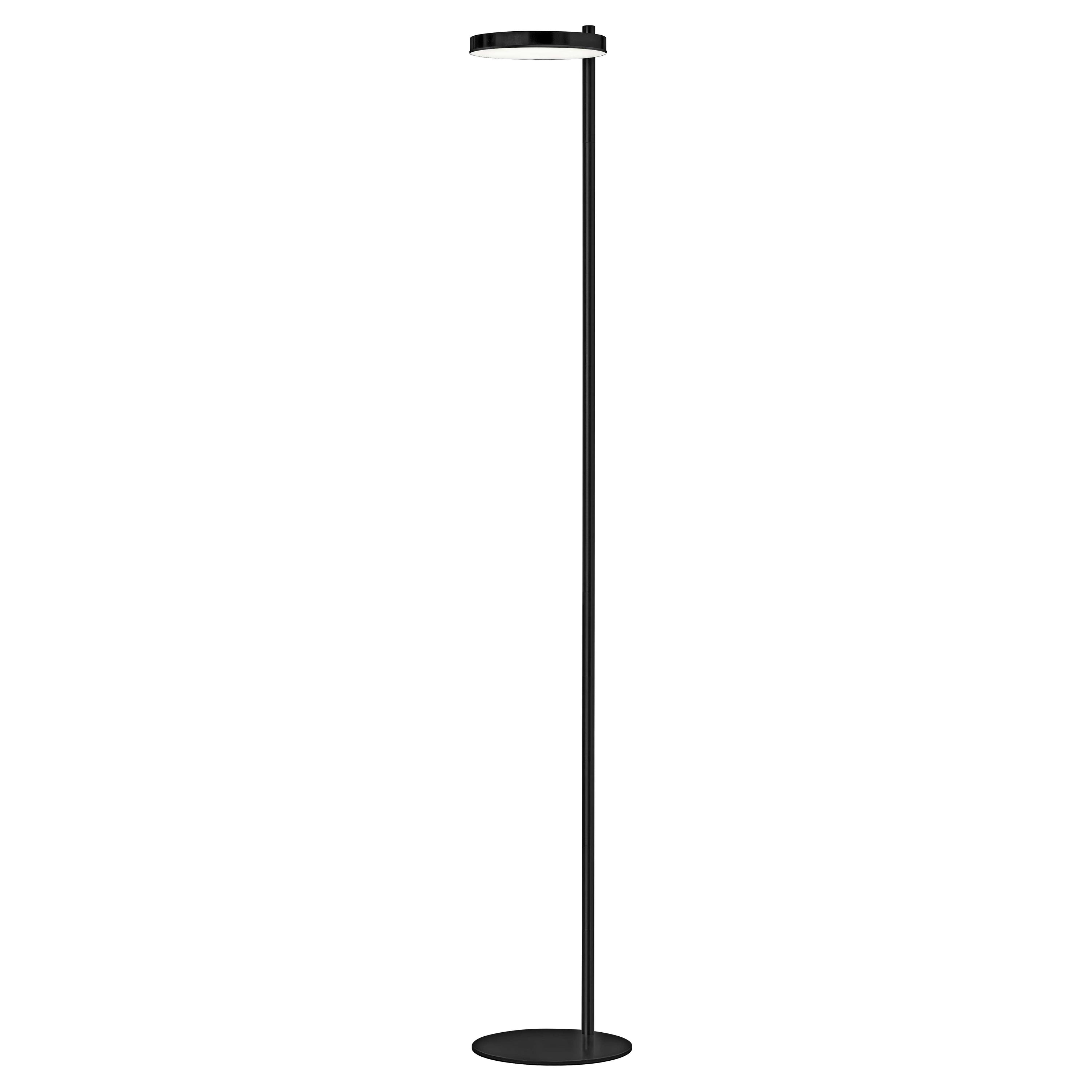 Dainolite Fia - FIA-6030LEDF-MB - 1 Light LED Fia Floor Lamp Matte Black - Matte Black