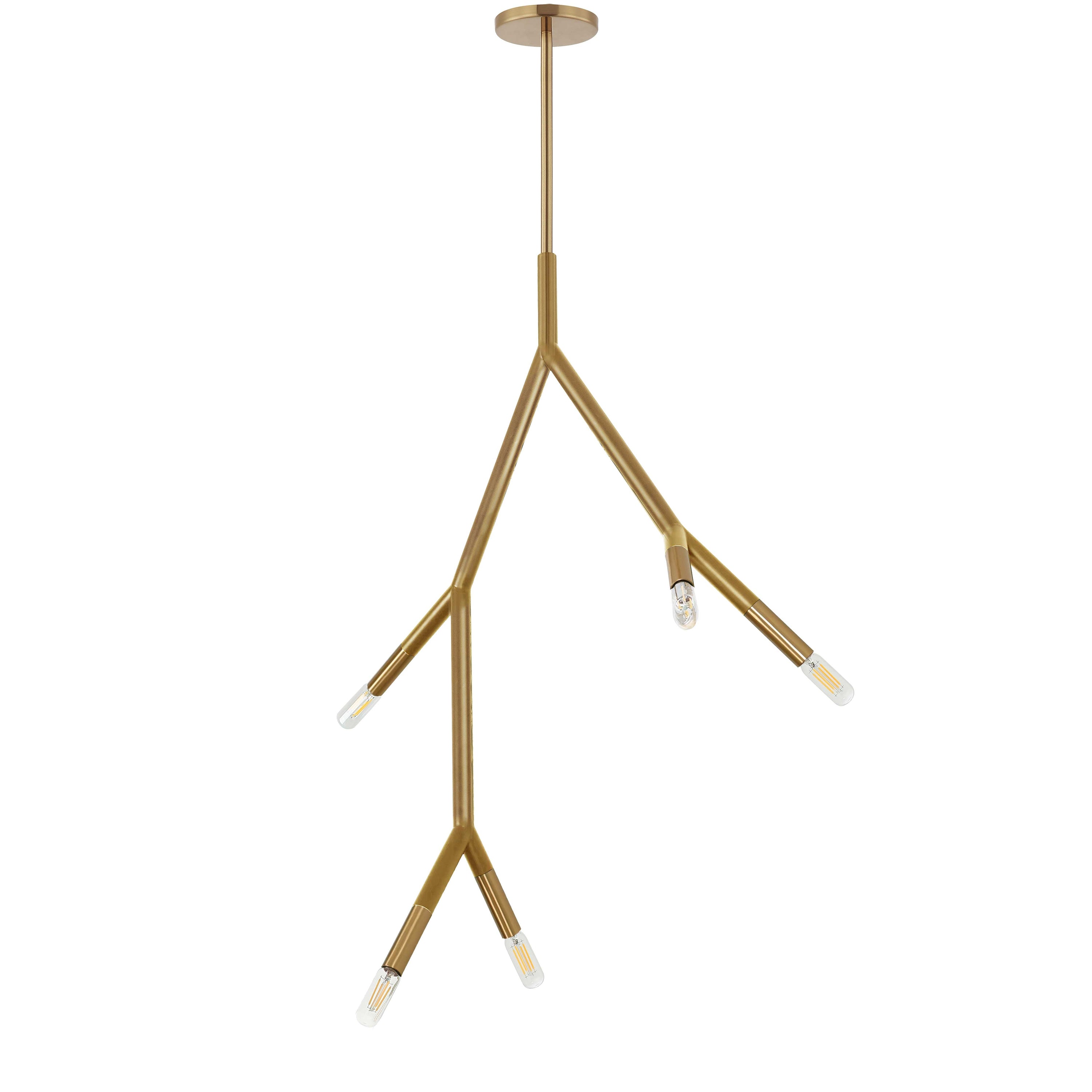 Dainolite Morgan - MOR-125P-AGB - 5 Light Pendant in Aged Brass - Aged Brass