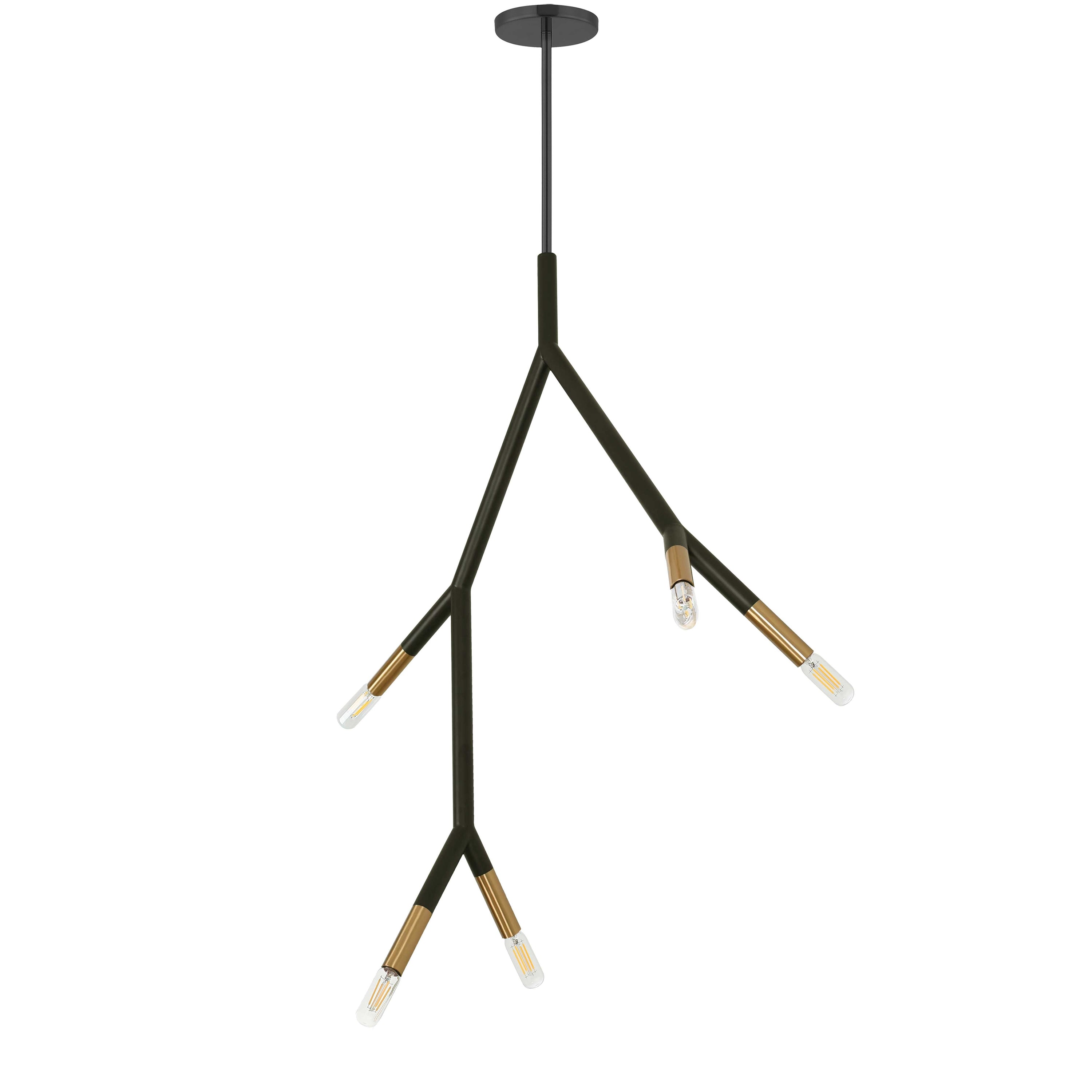 Dainolite Morgan - MOR-125P-MB-AGB - 5 Light Pendant in Matte Black / Aged Brass - Matte Black