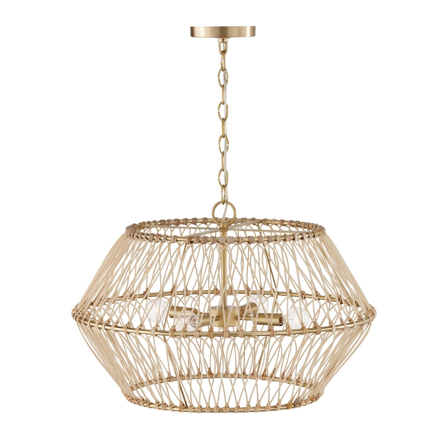 Capital Wren 344142MA Pendant Light - Matte Brass