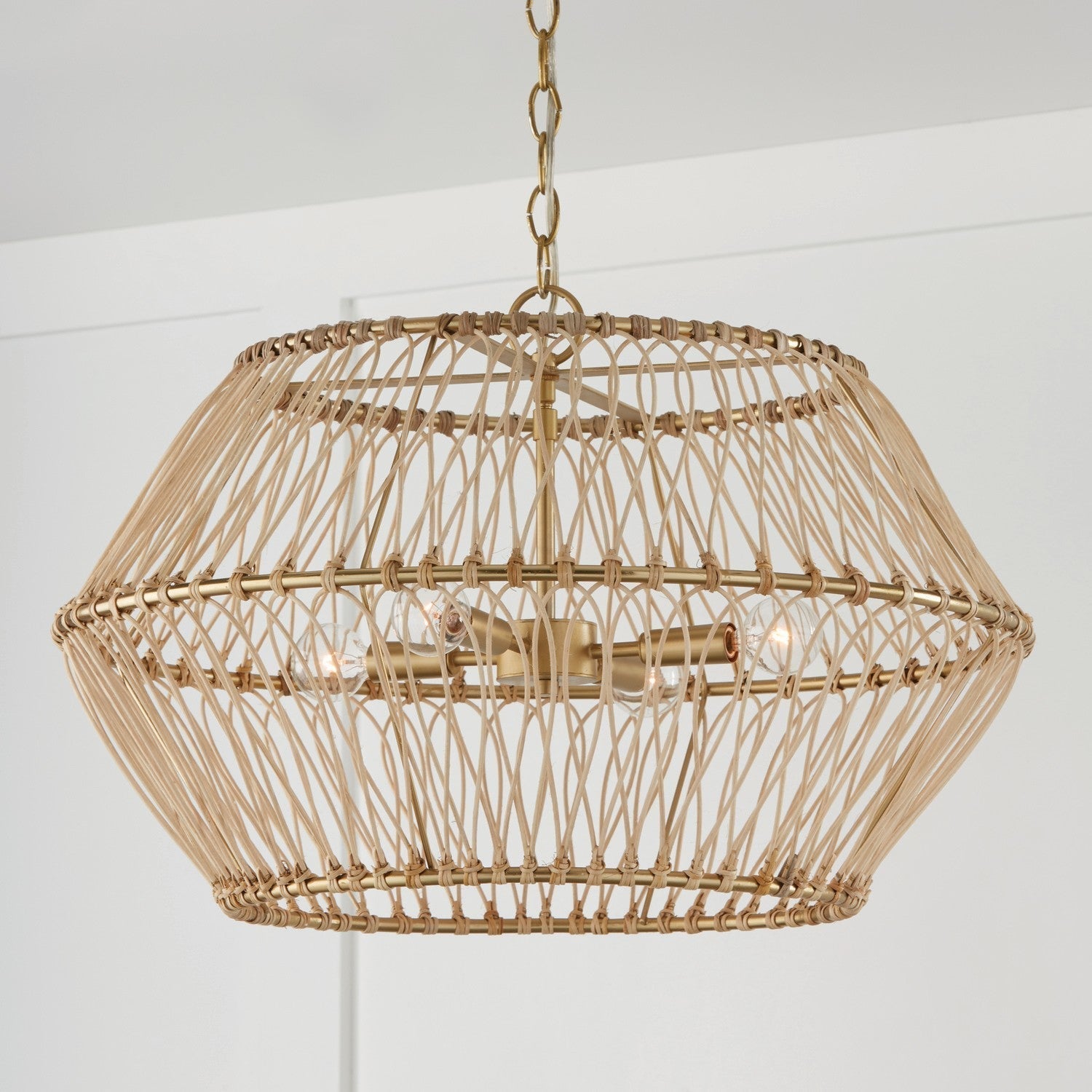 Capital Wren 344142MA Pendant Light - Matte Brass