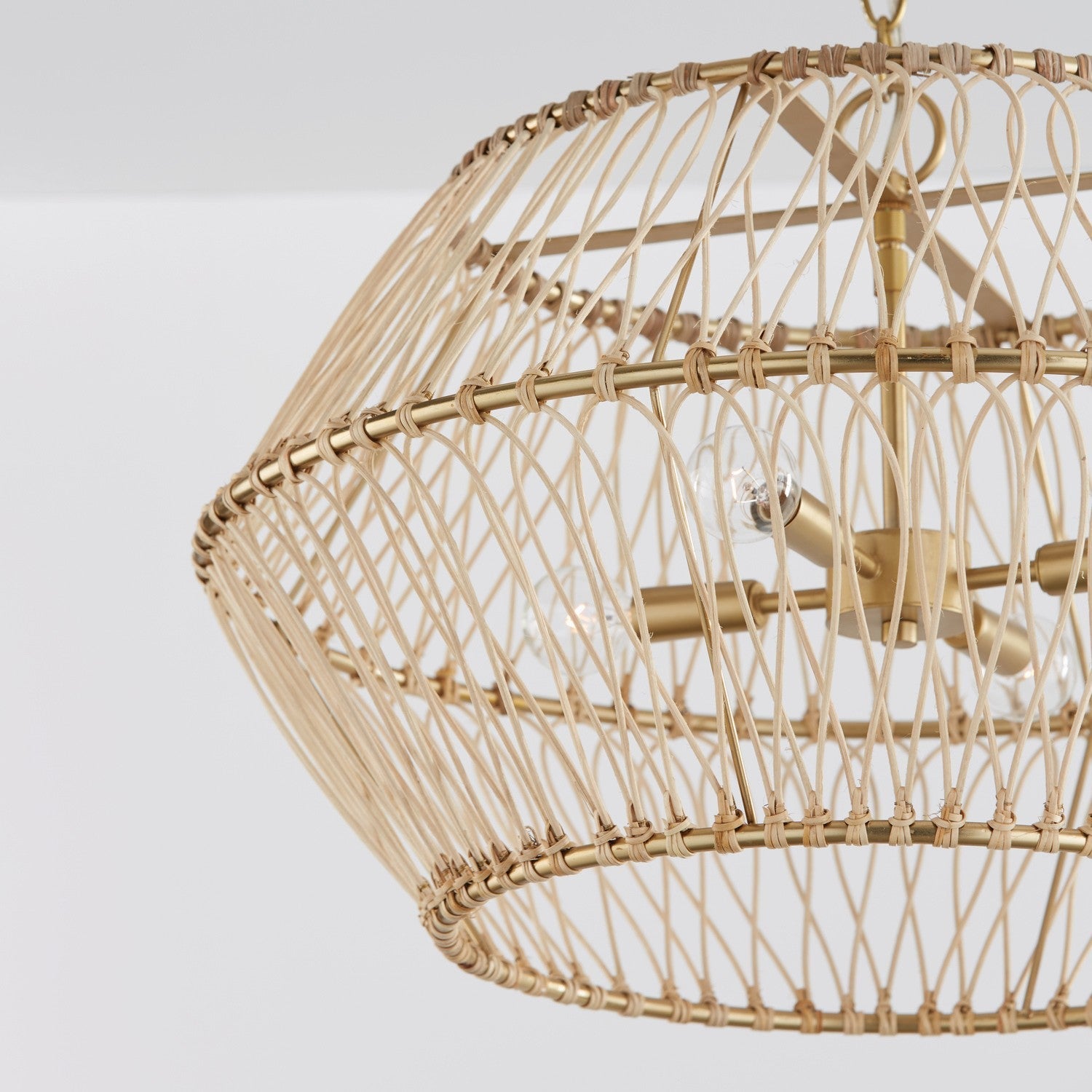 Capital Wren 344142MA Pendant Light - Matte Brass