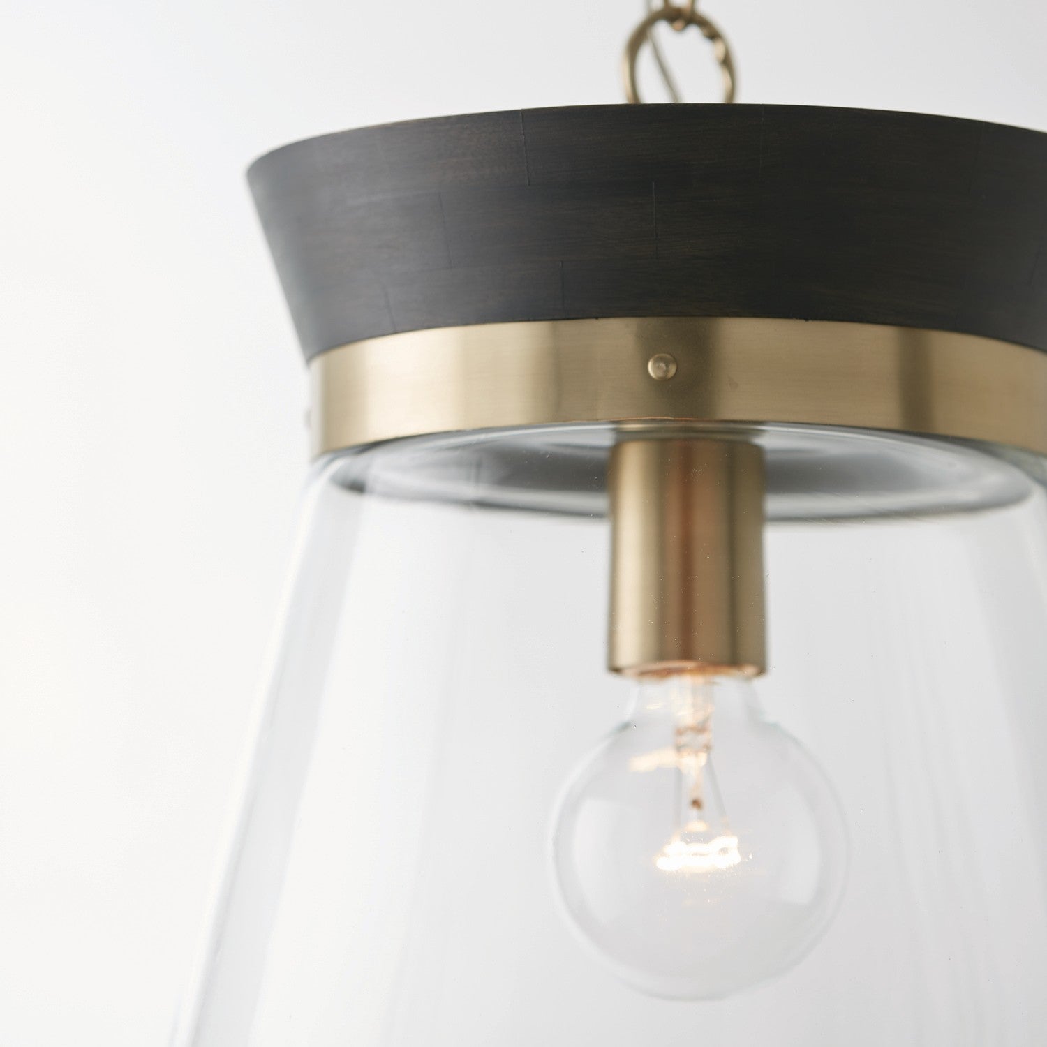 Capital Finn 347311KR Pendant Light - Black Stain, Matte Brass, Clear Glass