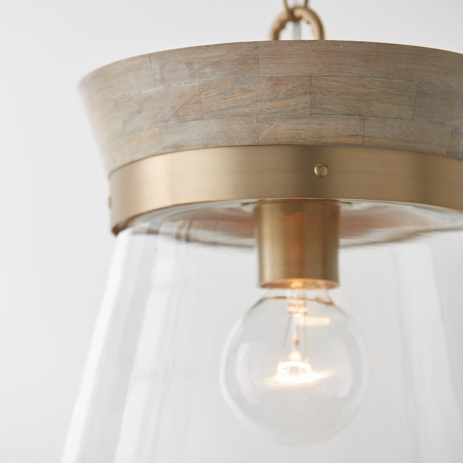 Capital Finn 347311WS Pendant Light - White Wash and Matte Brass